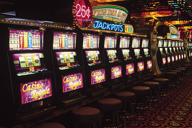 user303 Aviator Quick Arena